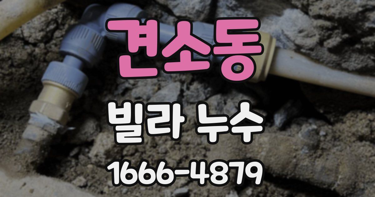 견소동 빌라 누수
