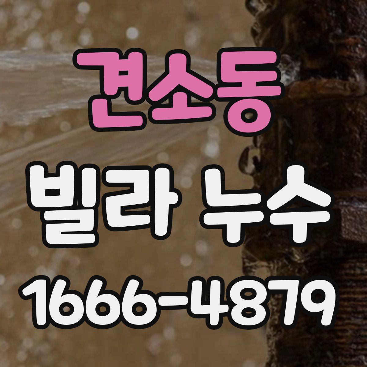 견소동 빌라 누수