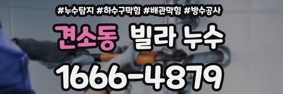 견소동 빌라 누수