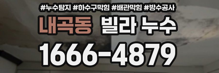 내곡동 빌라 누수