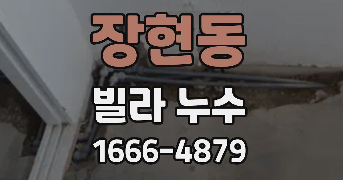 장현동 빌라 누수