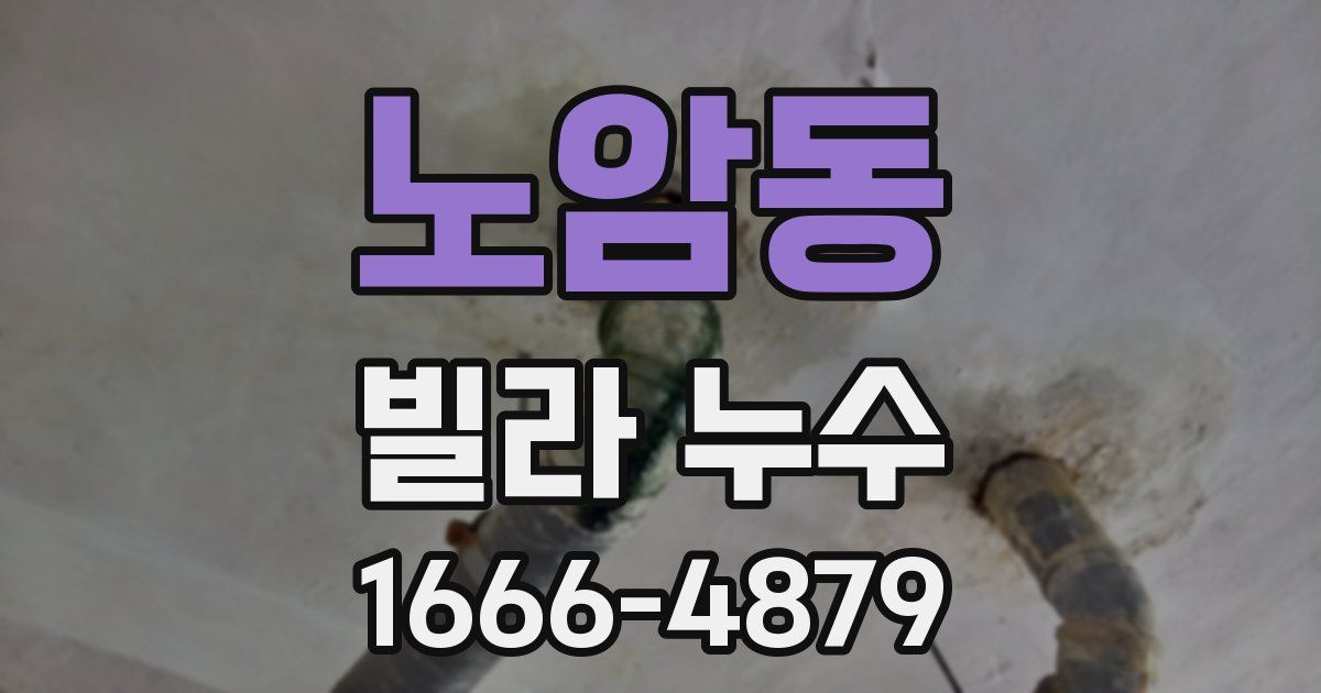 노암동 빌라 누수