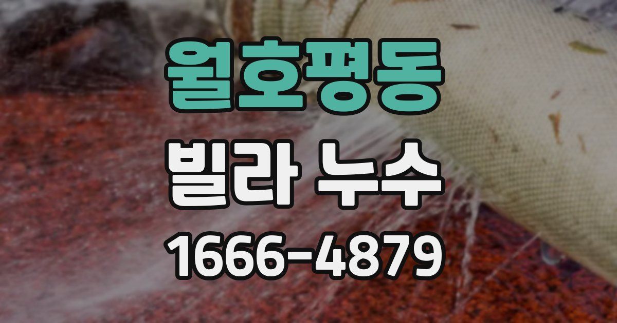 월호평동 빌라 누수