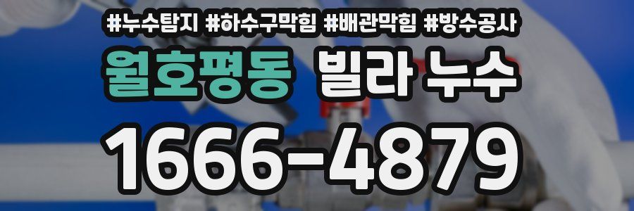 월호평동 빌라 누수