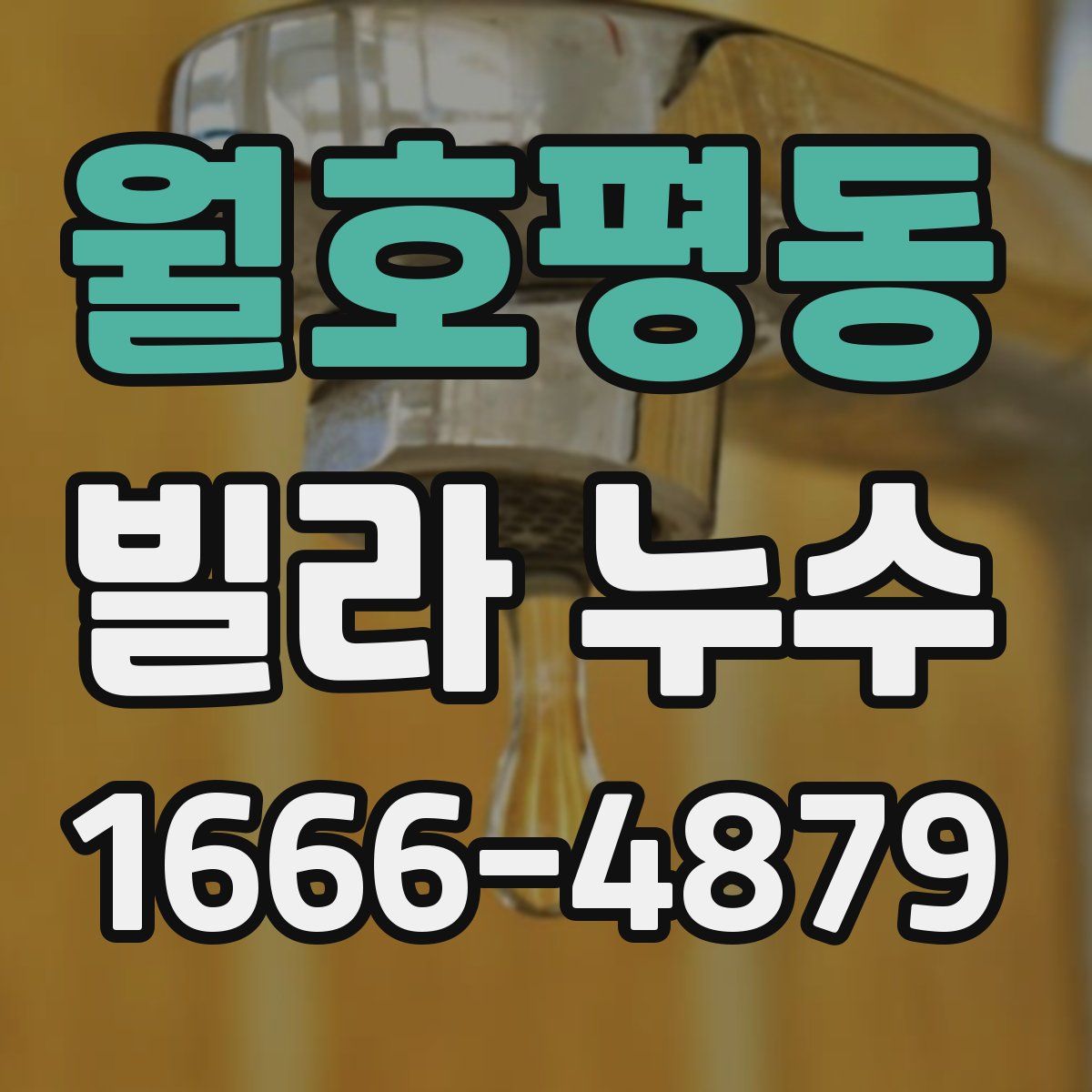 월호평동 빌라 누수
