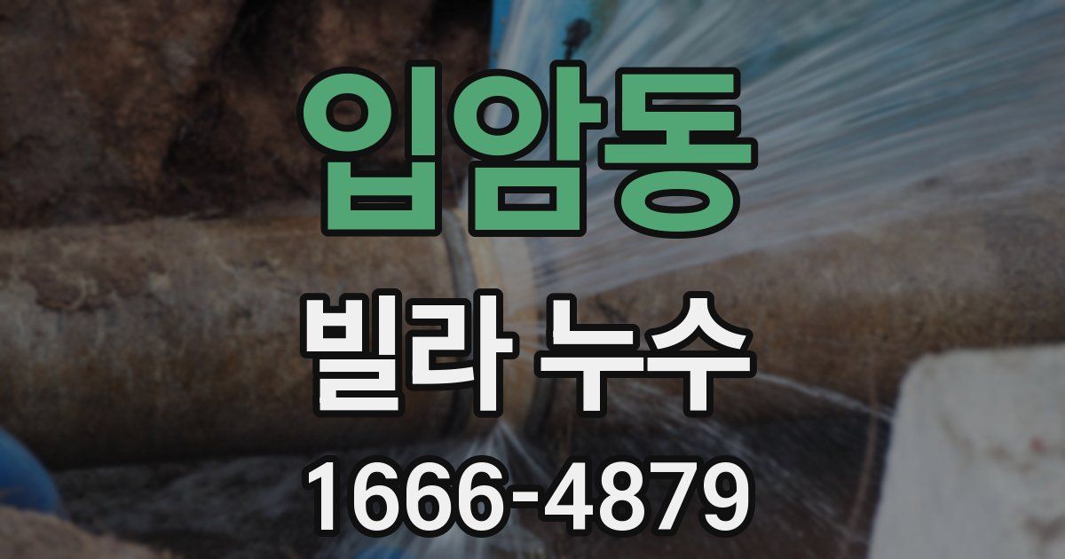 입암동 빌라 누수