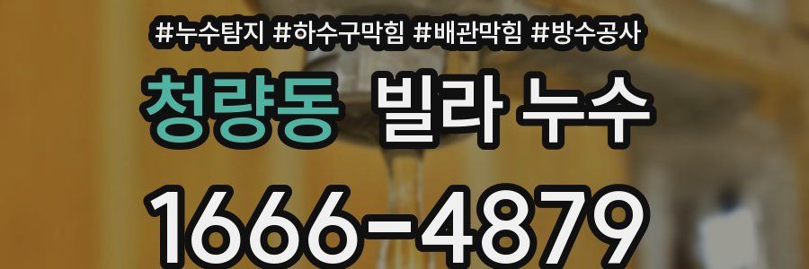 청량동 빌라 누수
