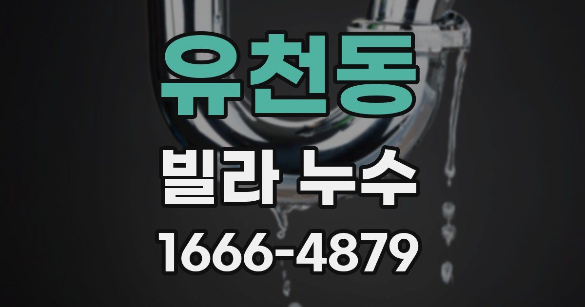 유천동 빌라 누수
