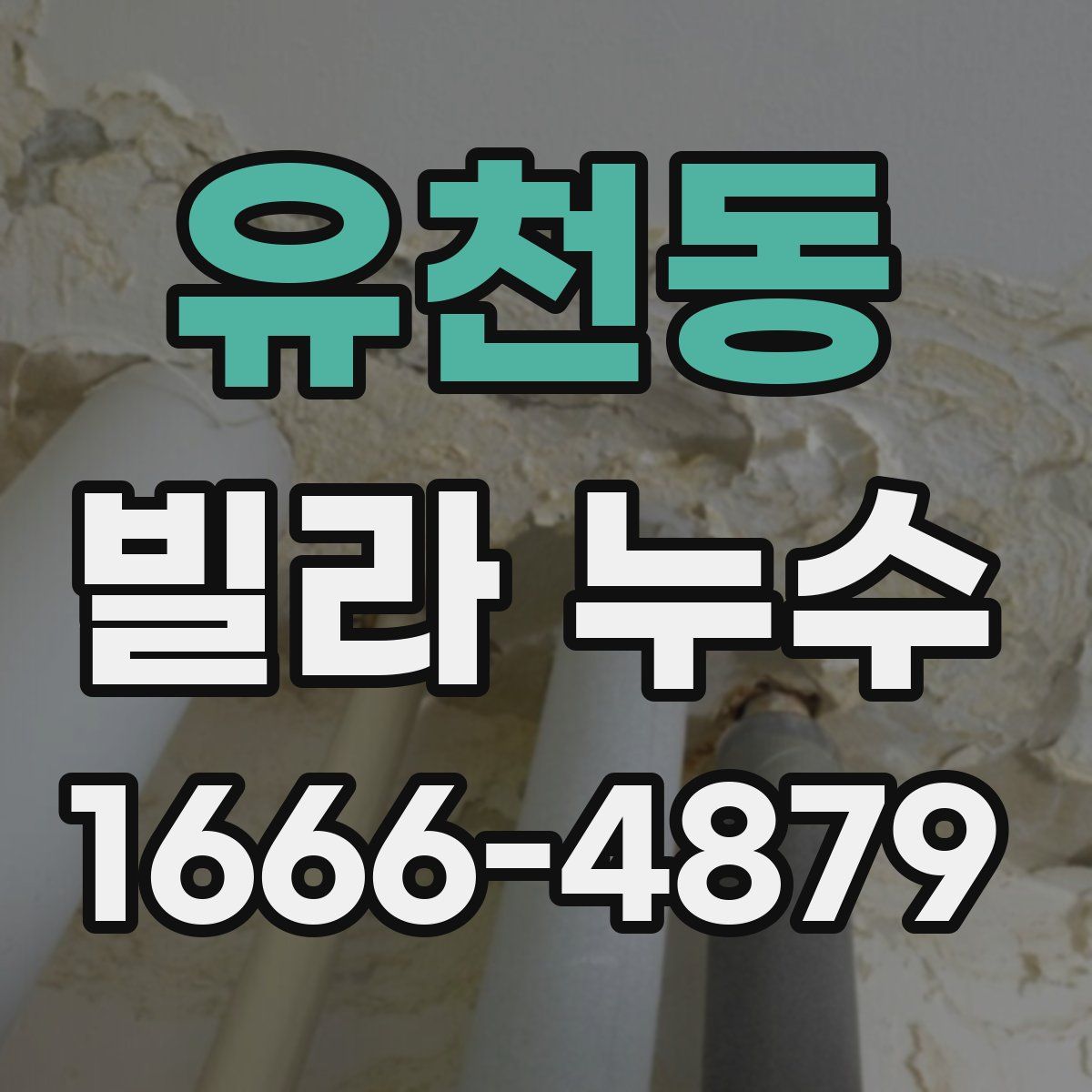 유천동 빌라 누수