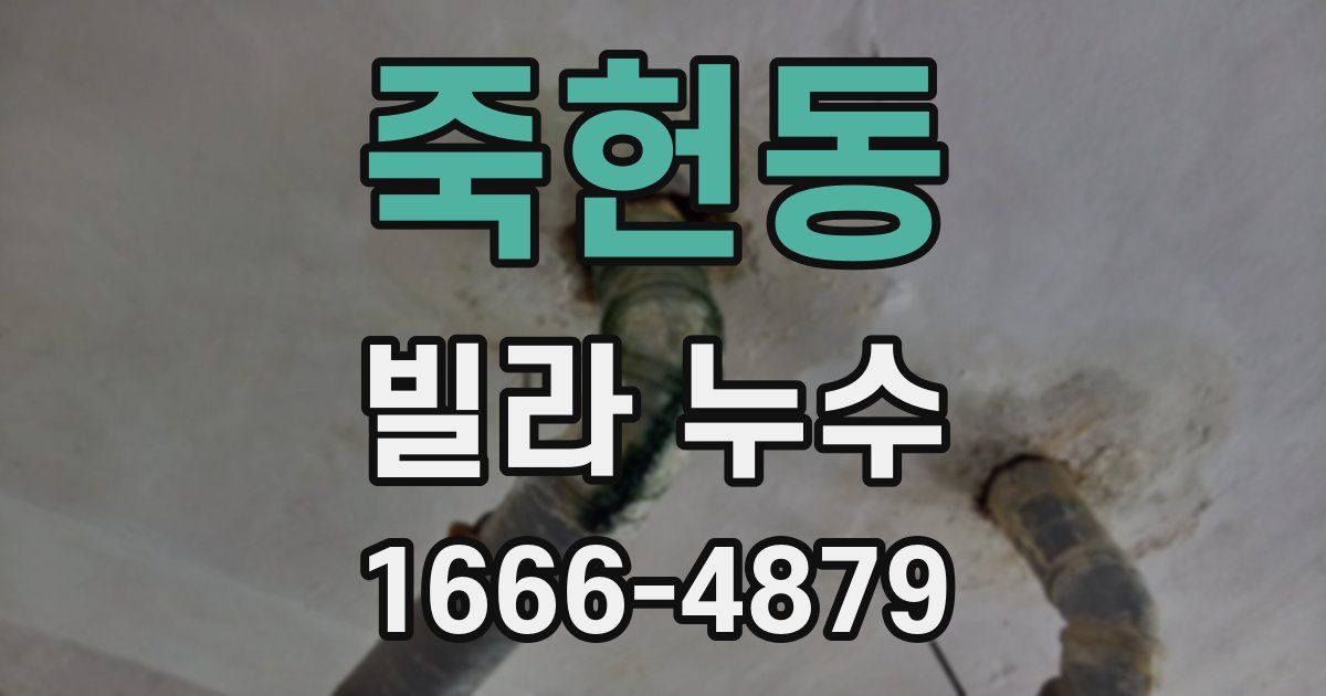 죽헌동 빌라 누수