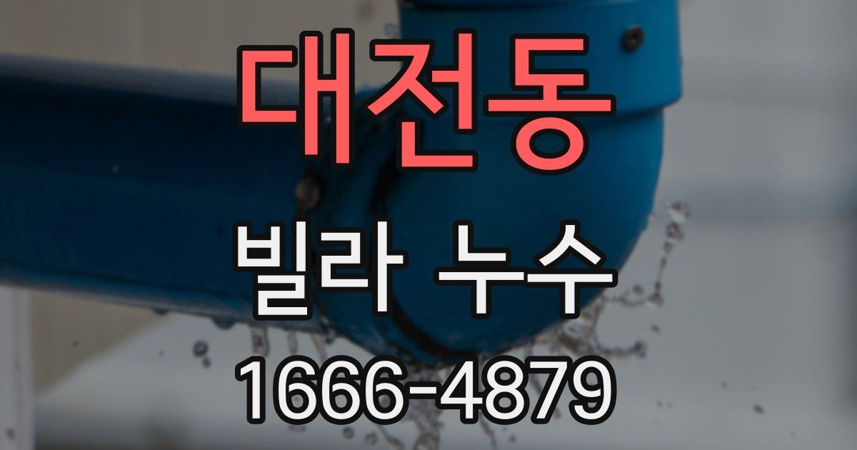 대전동 빌라 누수