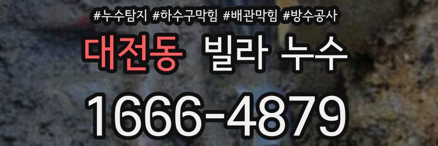 대전동 빌라 누수