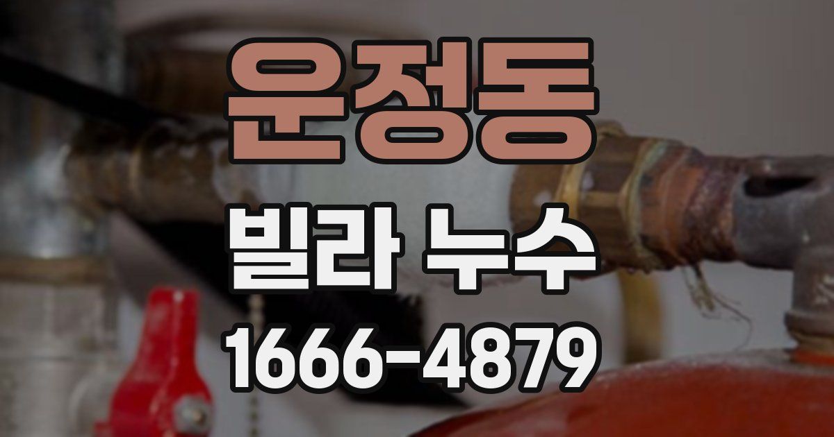 운정동 빌라 누수