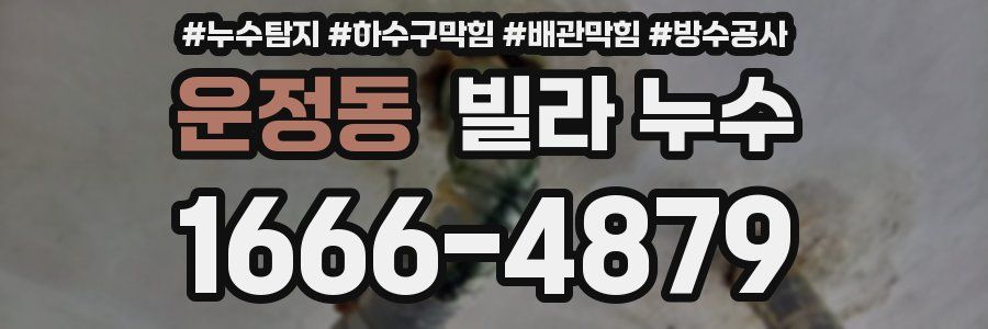 운정동 빌라 누수