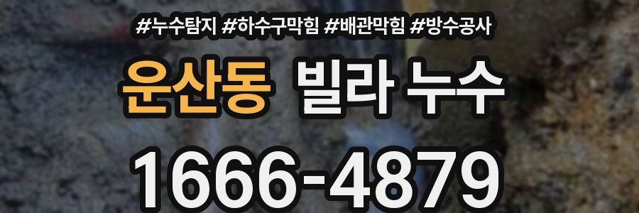 운산동 빌라 누수