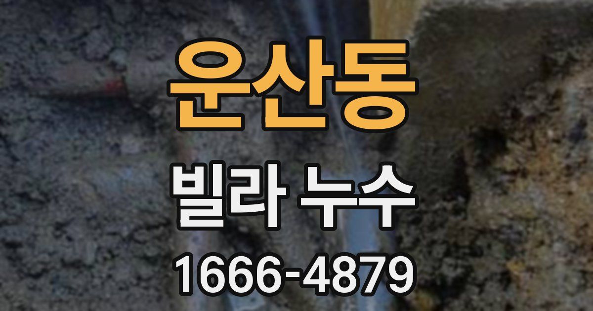 운산동 빌라 누수