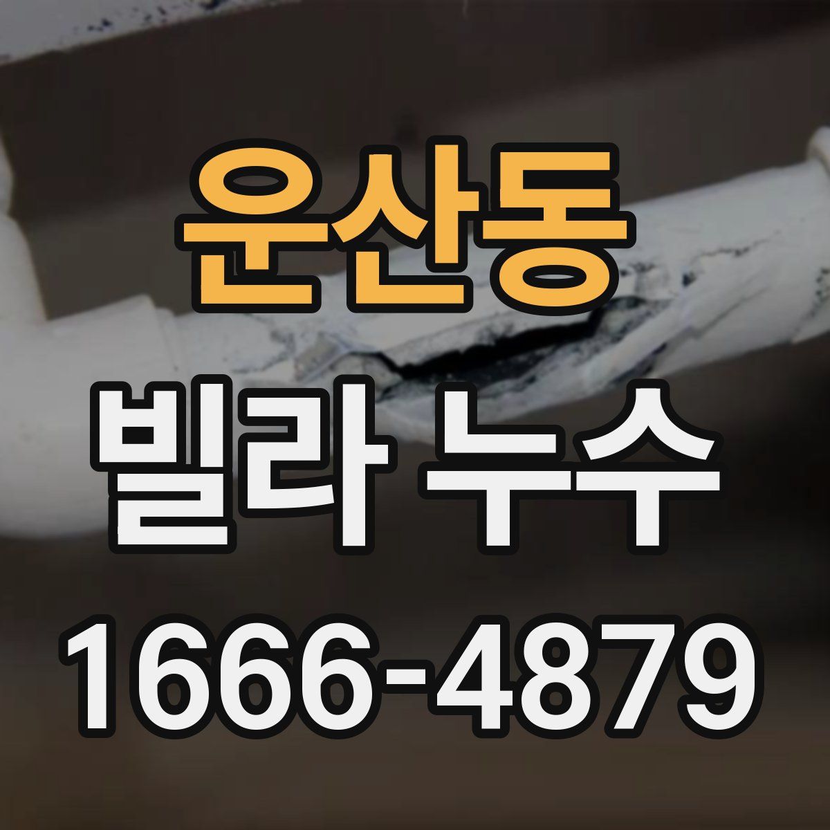 운산동 빌라 누수