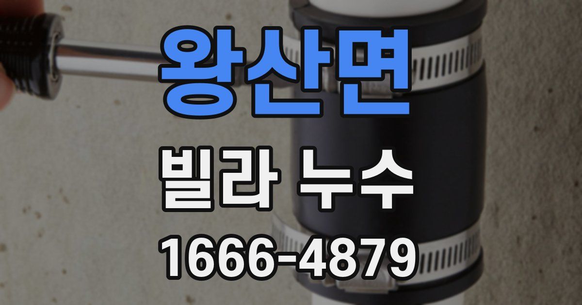 왕산면 빌라 누수