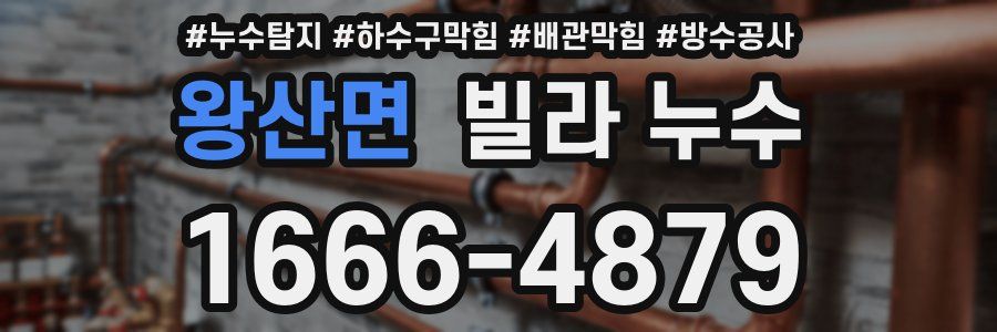 왕산면 빌라 누수