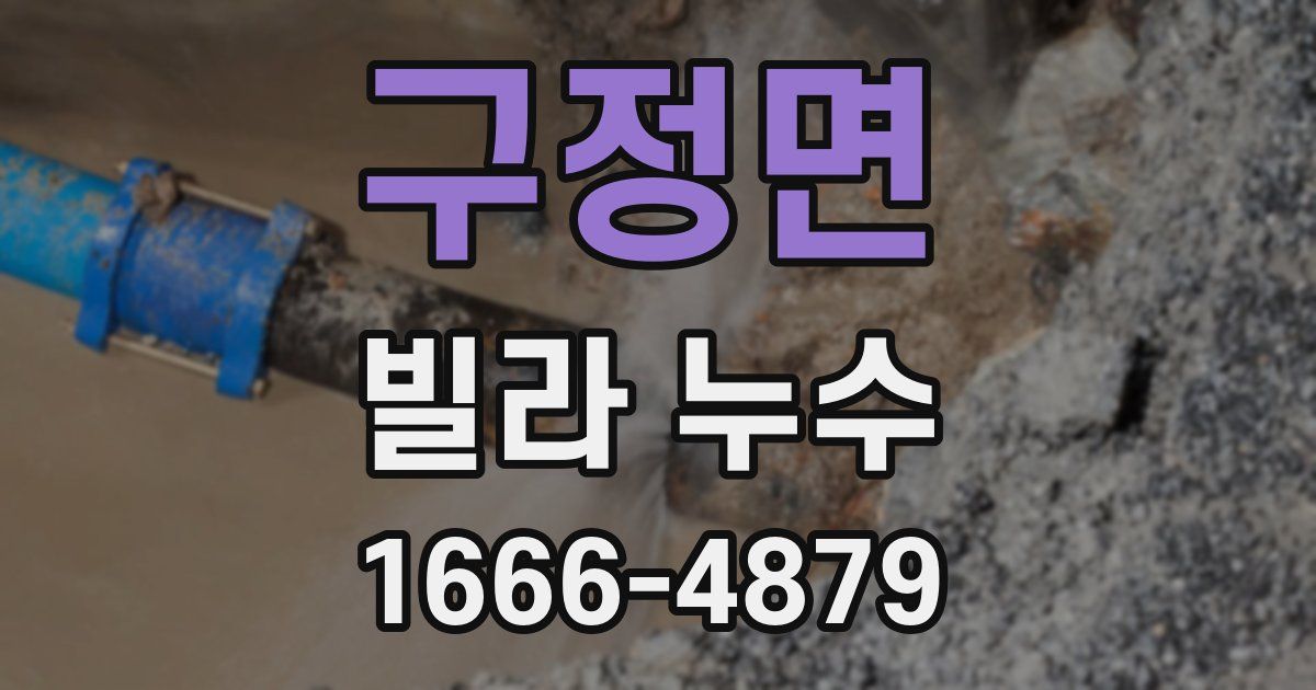 구정면 빌라 누수