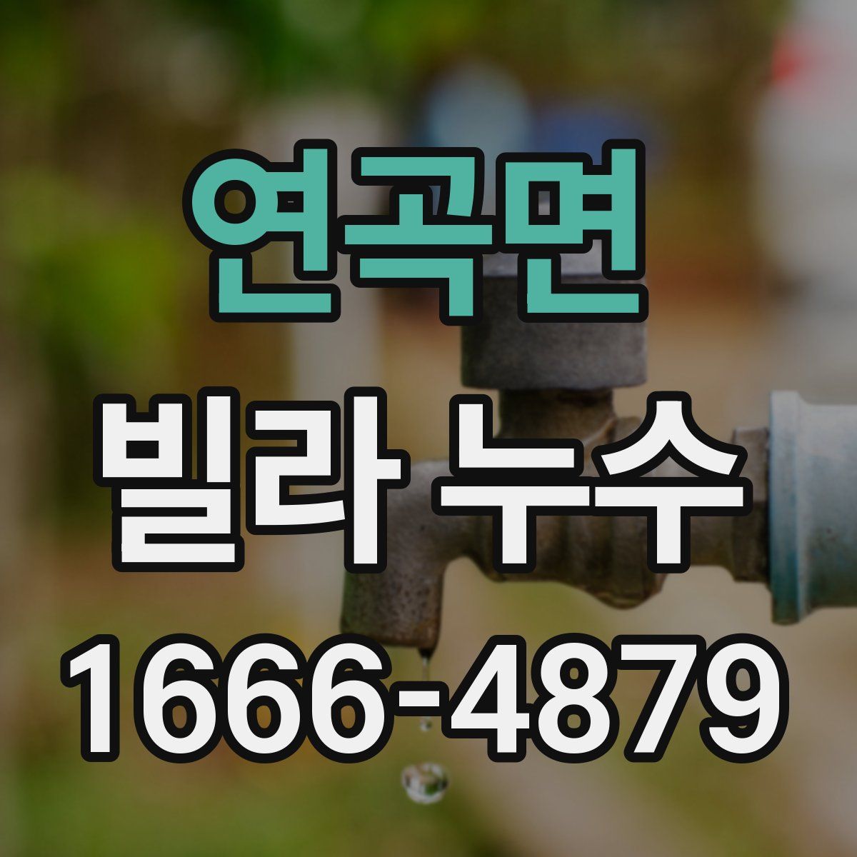 연곡면 빌라 누수