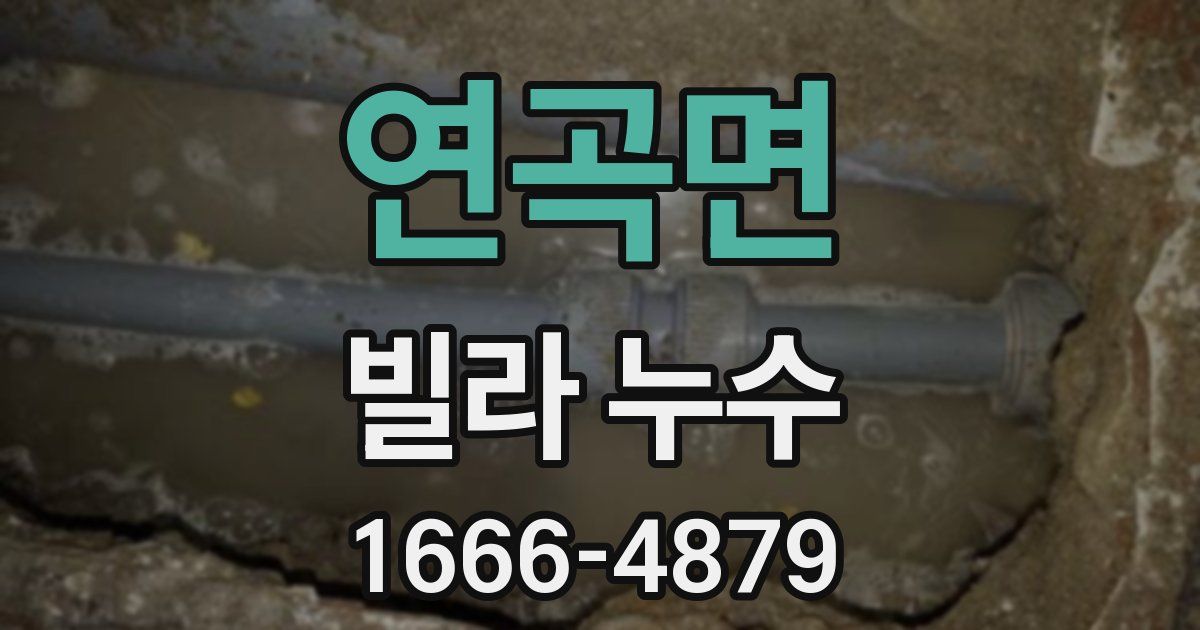 연곡면 빌라 누수