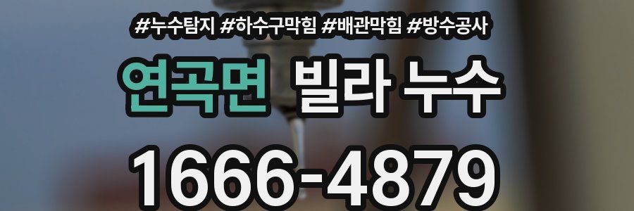 연곡면 빌라 누수
