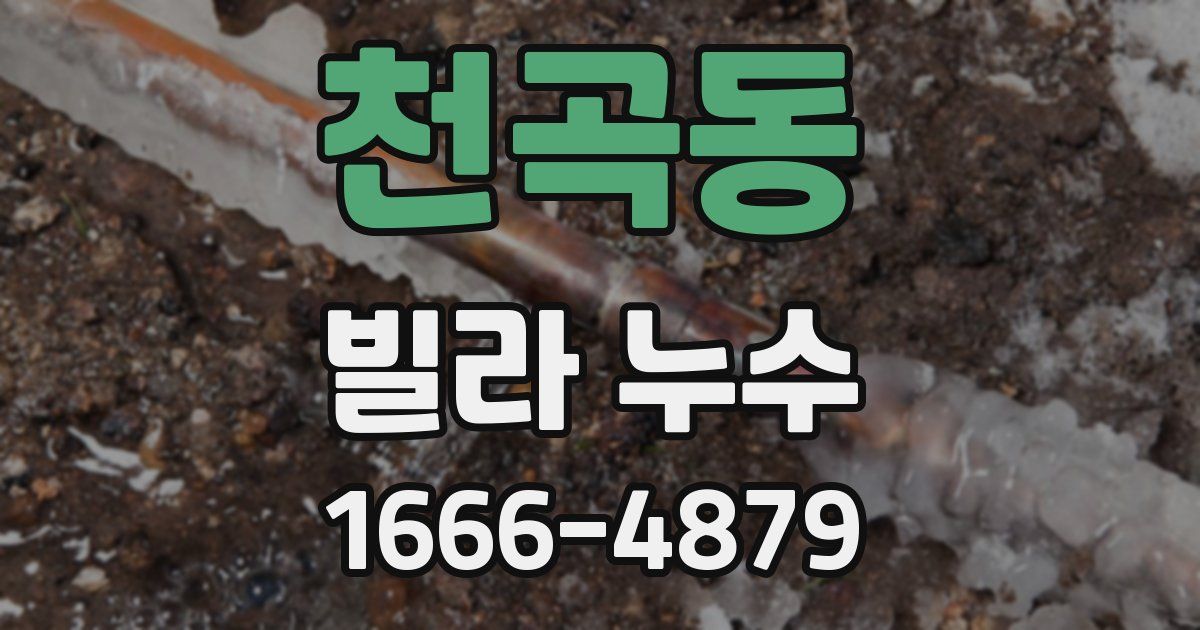 천곡동 빌라 누수