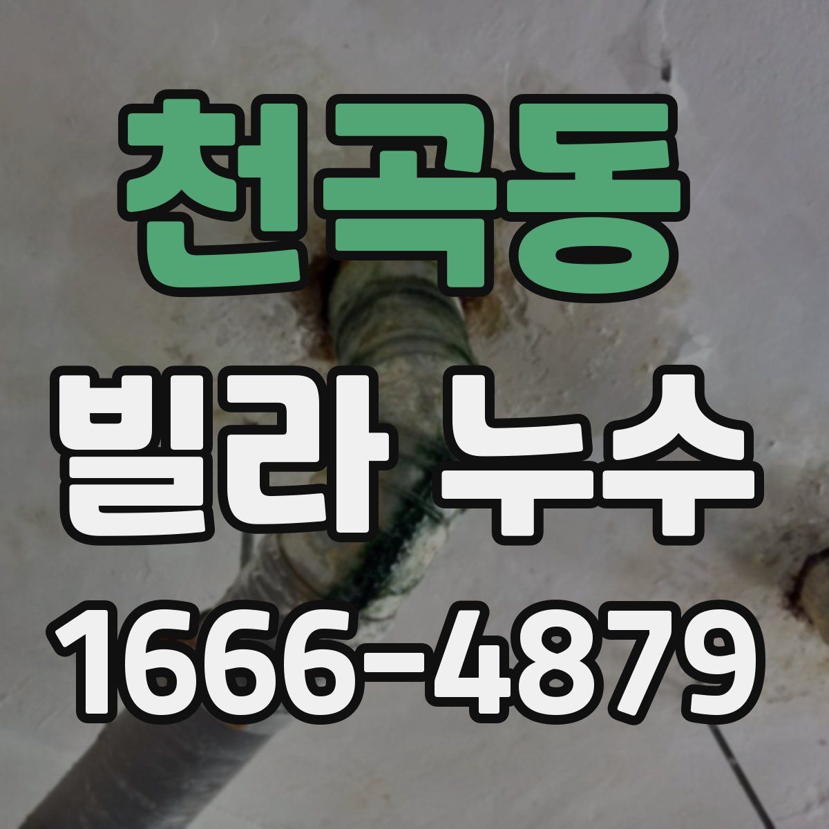 천곡동 빌라 누수