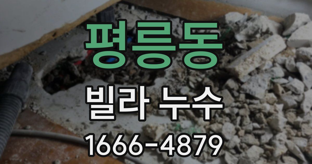 평릉동 빌라 누수