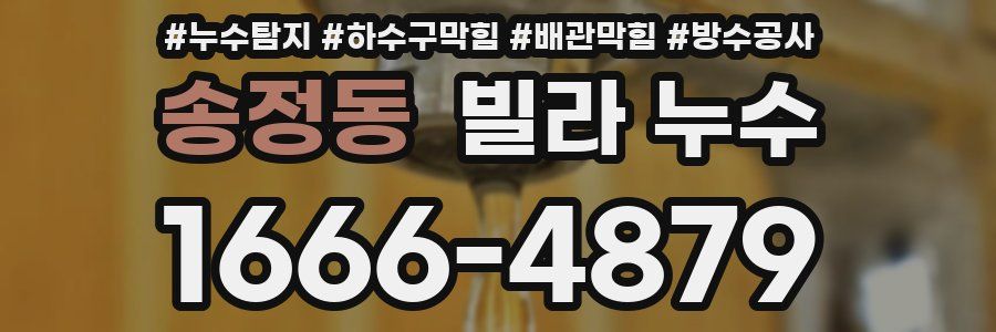 송정동 빌라 누수