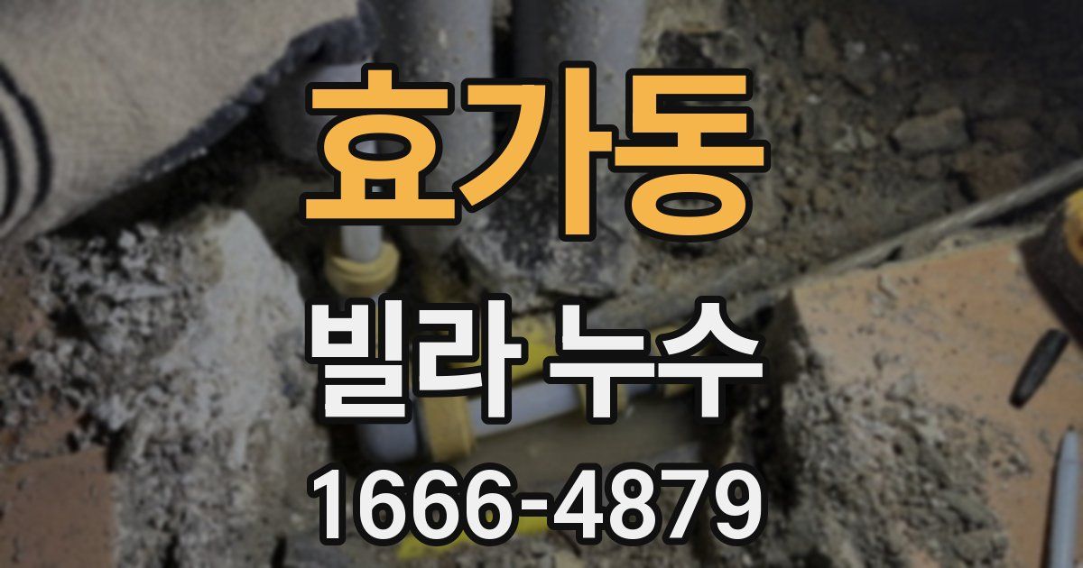 효가동 빌라 누수