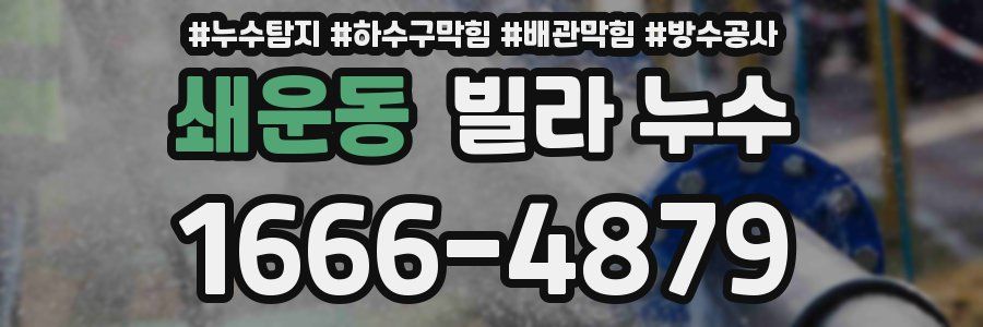 쇄운동 빌라 누수