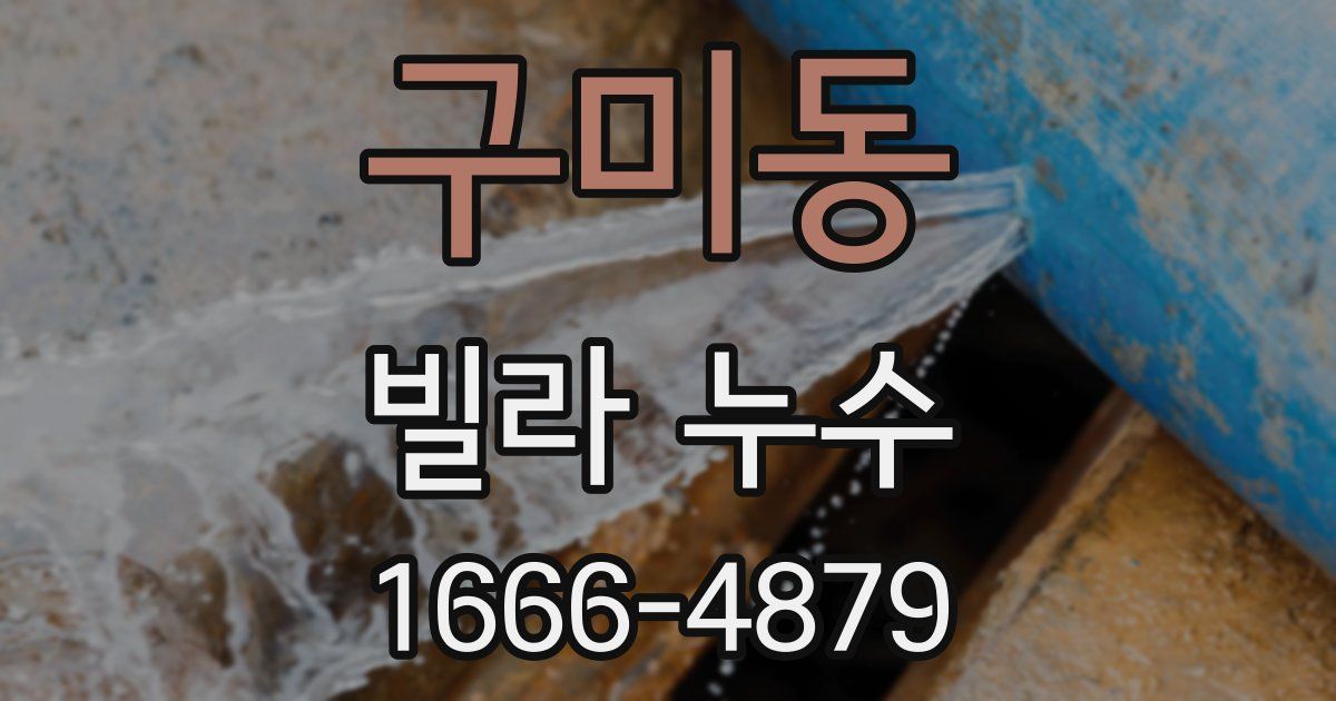 구미동 빌라 누수