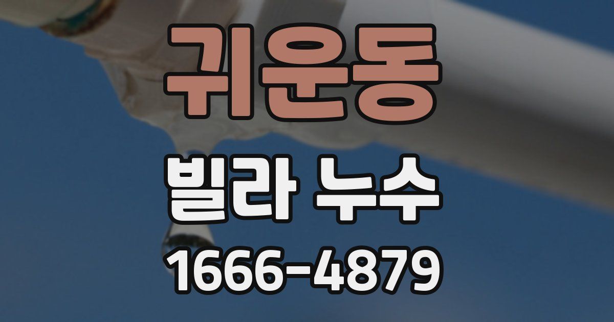 귀운동 빌라 누수