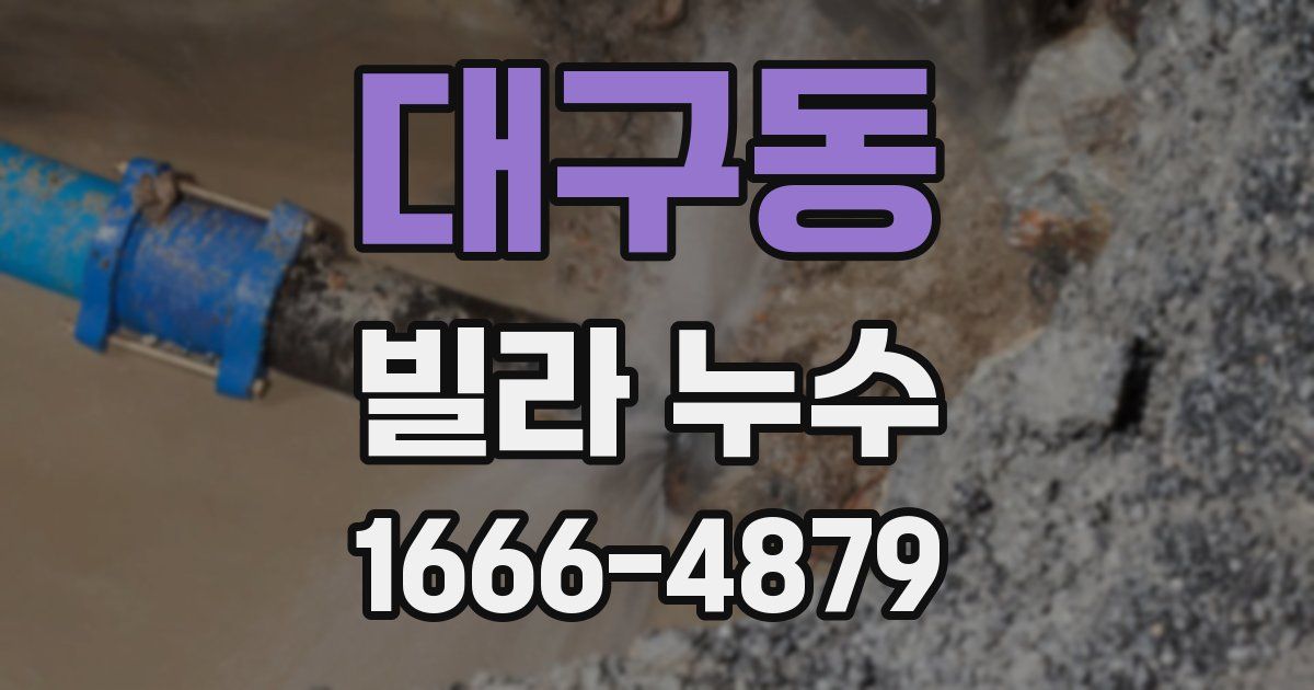 대구동 빌라 누수