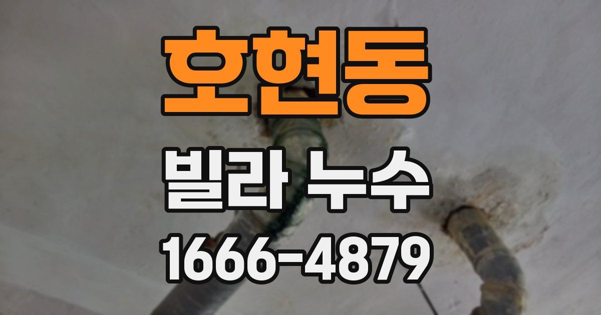 호현동 빌라 누수