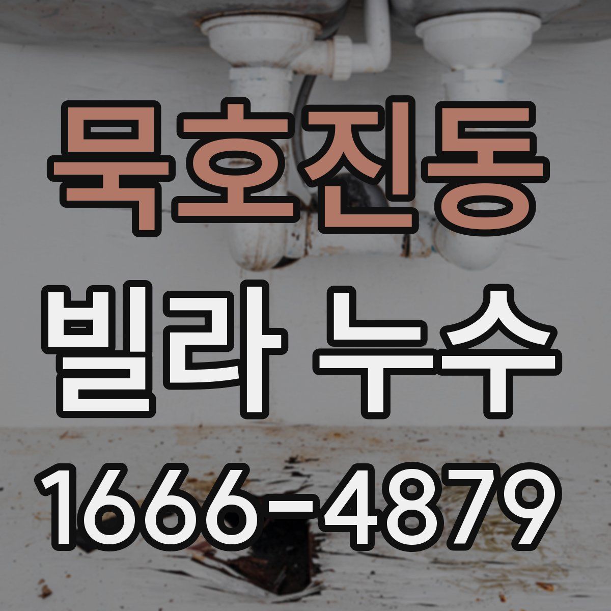 묵호진동 빌라 누수
