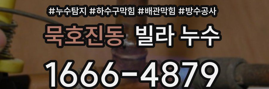 묵호진동 빌라 누수