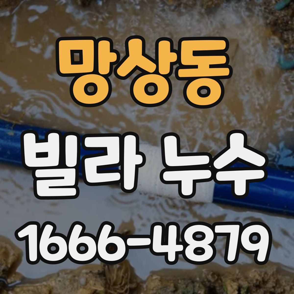 망상동 빌라 누수