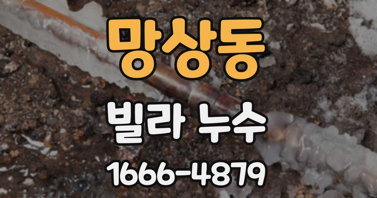 망상동 빌라 누수