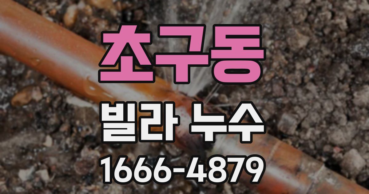 초구동 빌라 누수