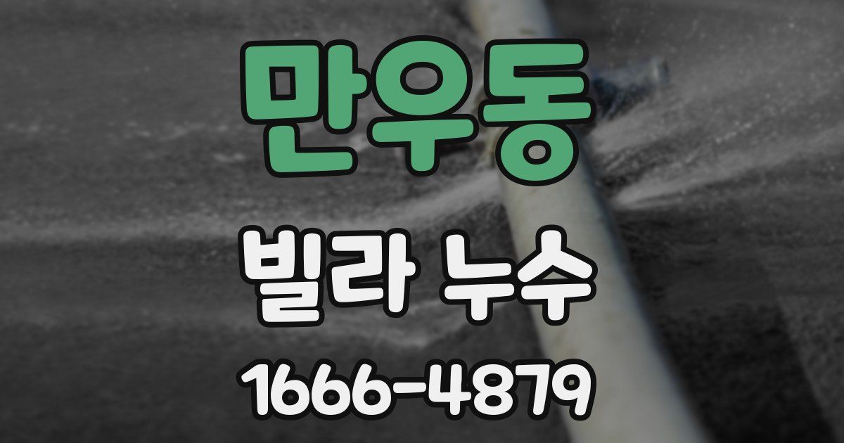 만우동 빌라 누수