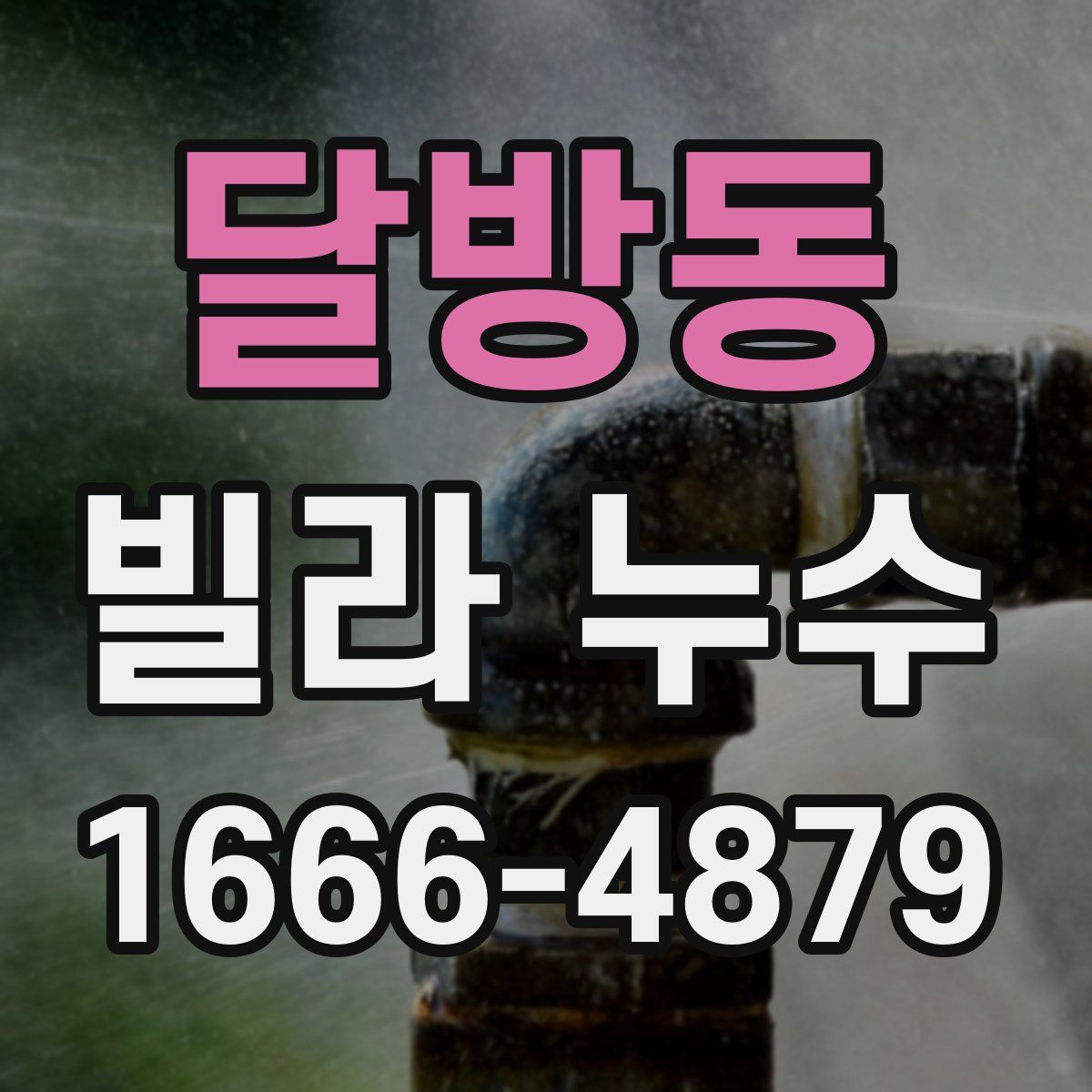 달방동 빌라 누수
