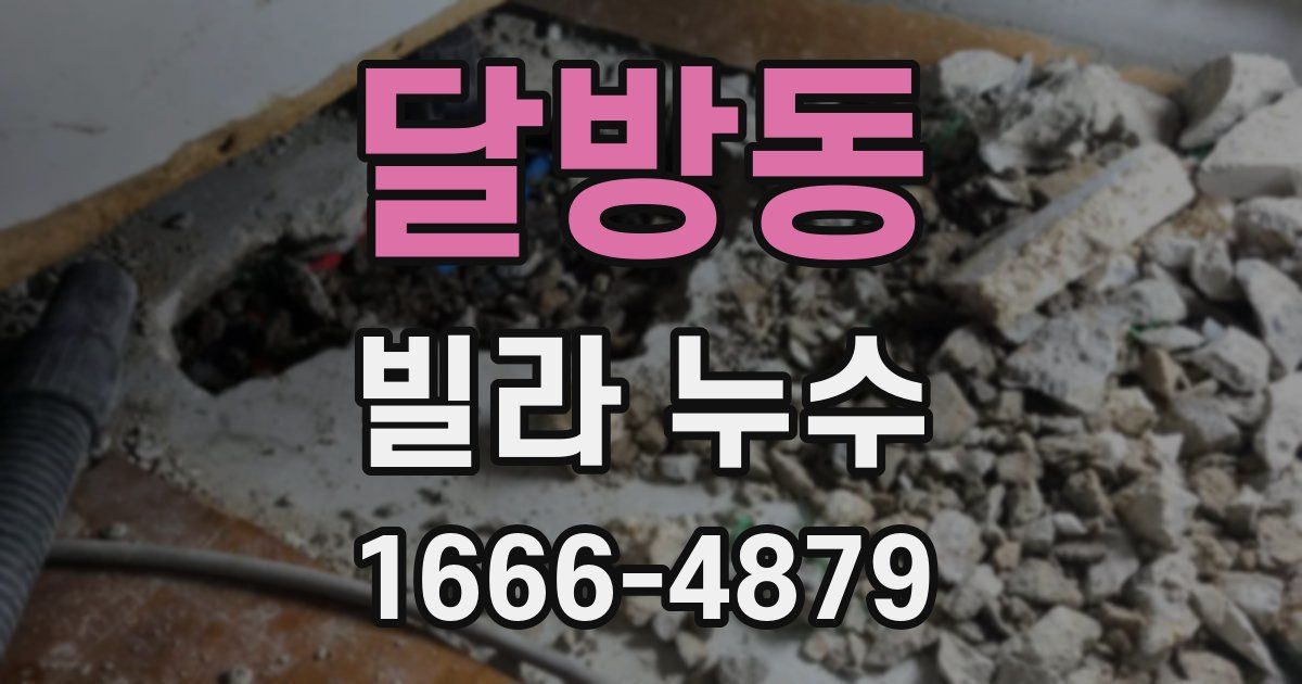 달방동 빌라 누수