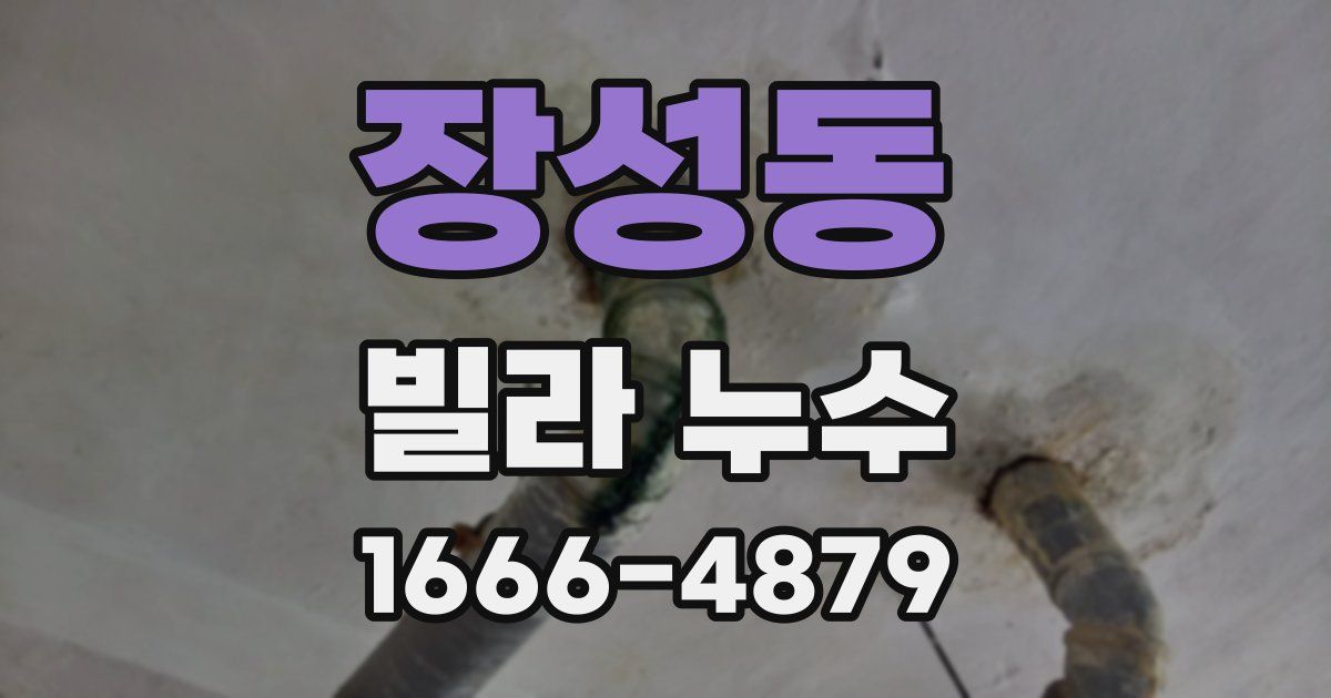 장성동 빌라 누수