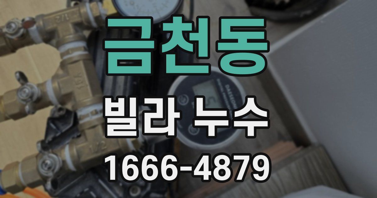 금천동 빌라 누수
