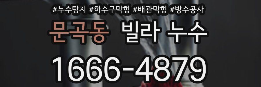 문곡동 빌라 누수