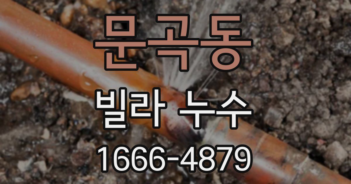 문곡동 빌라 누수