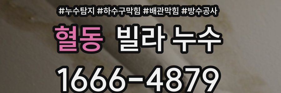 혈동 빌라 누수